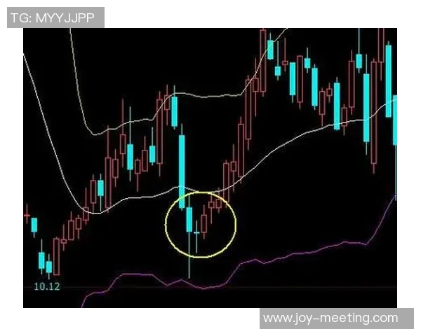 深入分析杭州篮球队防守反击战术的独特之处与实战应用