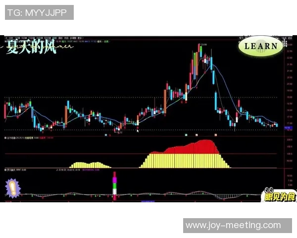 独家解析北京排球队灵活性对比及其对战术执行的影响分析