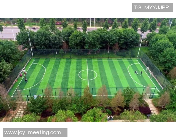 重磅专题：杭州乒乓球队创新盯防策略助力竞技水平提升