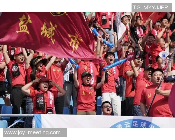 南京足球队精英赛表现分析：个人能力与团队协作的完美结合